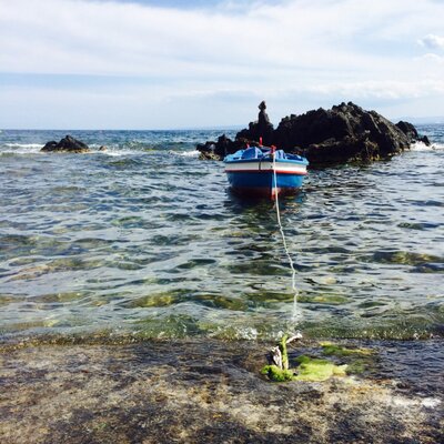 Profile Picture of Lisa Albi (@lisaalbi1) on Twitter