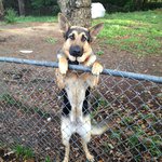 Profile Picture of Andrew Stohler (@glacejewelfeisty) on Instagram