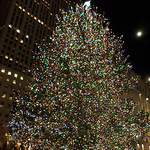 Profile Picture of David_mendoza59 (@david_mendoza59) on Flickr