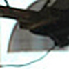 Profile Picture of Tejas Shah (@Shah Tejas) on Flickr