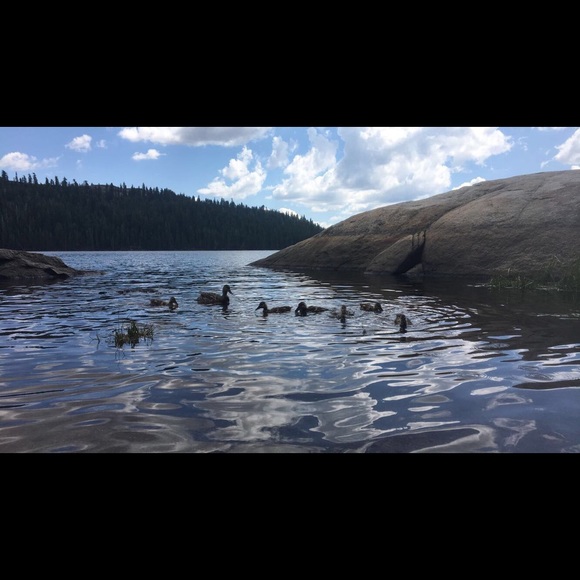 Nicolle Tissot - Poshmark Profile Picture of Nicolle Tissot (@nicolletvt) on Poshmark