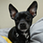 Profile Picture of Andrew Salazar (@horrorkid1) on Flickr