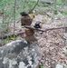 Profile Picture of Bryant Grazier (@bryant.grazier) on Facebook
