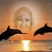 Profile Picture of Deborah Denny (@dbrhdenny2775) on Pinterest