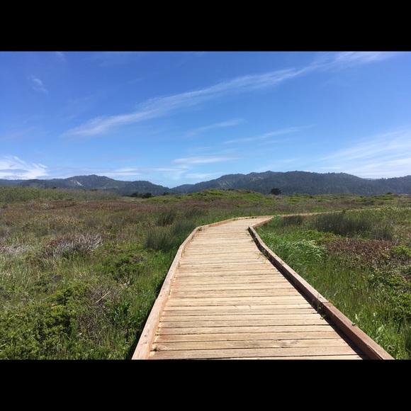 Profile Picture of Lucy Flannery-goodman (@l_flanneryg) on Poshmark