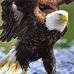 Profile Picture of Richard Hylton (@richard.hylton.507) on Facebook