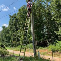 Profile Picture of Forrest Gerard Tanner (@forrestgerardtann) on Tiktok