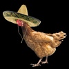 Profile Picture of Andrew Galvez (@@andrewgalvez) on Tiktok