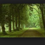 Profile Picture of Sam Bookhardt (@sbbook85) on Instagram