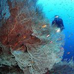 Profile Picture of Eric Staal (@eric.staal01) on Instagram