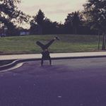 Profile Picture of Ich bin Michael (@evil_tardy) on Instagram
