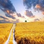 Profile Picture of Nola Larson Meier (@rnmeier) on Instagram