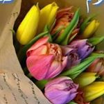 Profile Picture of oshlo (@oshlo2) on Instagram