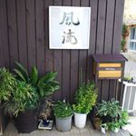 Profile Picture of 風流 (@furyu26) on Instagram