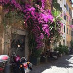 Profile Picture of Claudette Lemieux (@mieuxlaud) on Instagram