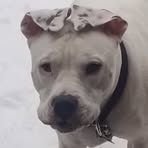 Profile Picture of Chad Manship (@chad.manship.9) on Facebook