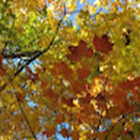 Profile Picture of Adriann Knight (@adriann-knight) on Quora