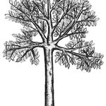 Profile Picture of Richard Vanek (@richardvanek) on Instagram