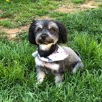 Profile Picture of Esau Thomas (@isawyousawwesawesau) on Instagram