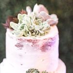 Profile Picture of Carolyn Sisson (@cakesbycarolyn_nnk) on Instagram