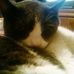 Profile Picture of Pam Szymanski (@pam.szymanski.5) on Facebook
