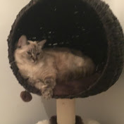 Profile Picture of Louise Callaghan (@louisesandm) on Youtube