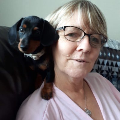 Profile Picture of Sue Cantrell (@SueCant12013820) on Twitter