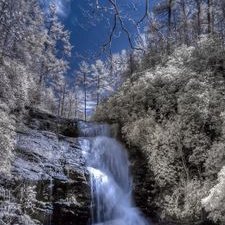 Profile Picture of Brad Forsythe (@forsythe_brad) on Twitter