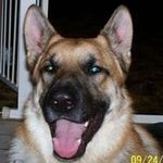 Profile Picture of Lori Reznick (@mommarez1021) on Instagram