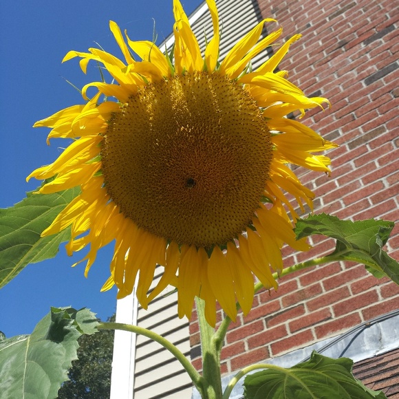 Andrzej Drzewinski - Poshmark Profile Picture of Andrzej Drzewinski (@ad020607) on Poshmark