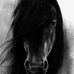 Profile Picture of Kriss Calvert (@kriss.calvert.7) on Facebook