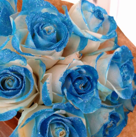 Profile Picture of Greenapple Kronfeld (@peachy68) on Poshmark