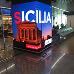 Profile Picture of Peter Aloi (@peter_aloi) on Instagram