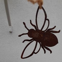 Profile Picture of Heidi St (@heidist1) on Tiktok