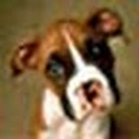 Profile Picture of Jee Hoon Chong (@jee-hoon-chong) on Quora
