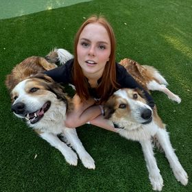 Profile Picture of kerrigan wright (@kerriganwright) on Pinterest