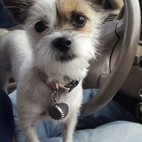 Profile Picture of Sandra Schnable (@eyeskf) on Poshmark