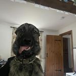 Ashley Simmonds - Instagram Profile Picture of Ashley Simmonds (@a_a_motorsport_) on Instagram