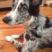 Profile Picture of Randy Lyles (@randy-lyles) on Quora