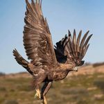 Mark Harrison - Instagram Profile Picture of Mark Harrison (@mark_harrison_55565) on Instagram