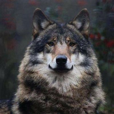 Profile Picture of Jeffrey Geary (@JeffreyGeary5) on Twitter