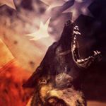 Profile Picture of Andrew maggs (@andrew_maggs) on Instagram