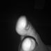 Profile Picture of Michael Heaphy (@michael.heaphy.58) on Facebook