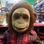 Profile Picture of Cisneros Gustavo (@gustavo.cisneros.52090) on Instagram