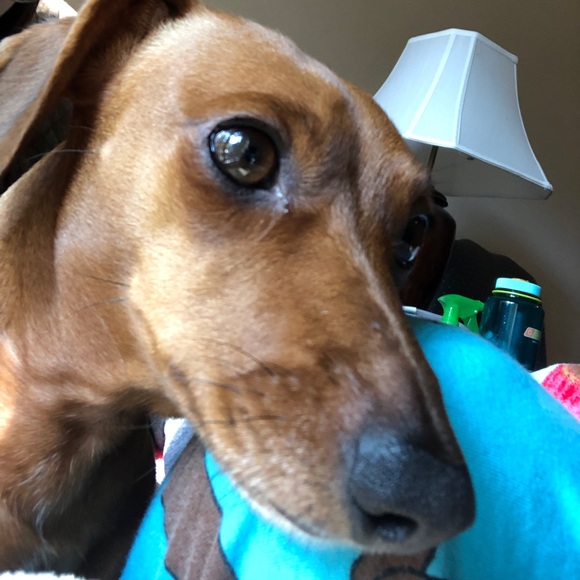 Profile Picture of Paige Mcnish (@topreader8) on Poshmark