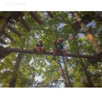Profile Picture of Tyler Carl (@tyler-carl-6) on Quora