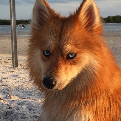 Profile Picture of Rosemaline (@rosemaline16) on Twitter