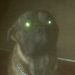 Profile Picture of Jason Lightsey (@jasonlightsey) on Pinterest