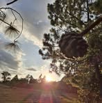 Profile Picture of Jonathan Mota Luiz (@esteven.noriega.9) on Facebook