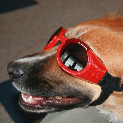 Profile Picture of Sharon Funk (@SharonF35096640) on Twitter